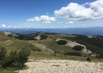 Montagne de Lure - Août 2015