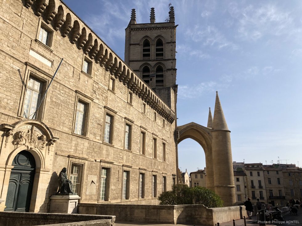 Faculté de médecine de Montpellier Octobre 2019 Soladar Faculté de médecine de Montpellier Octobre 2019 Soladar